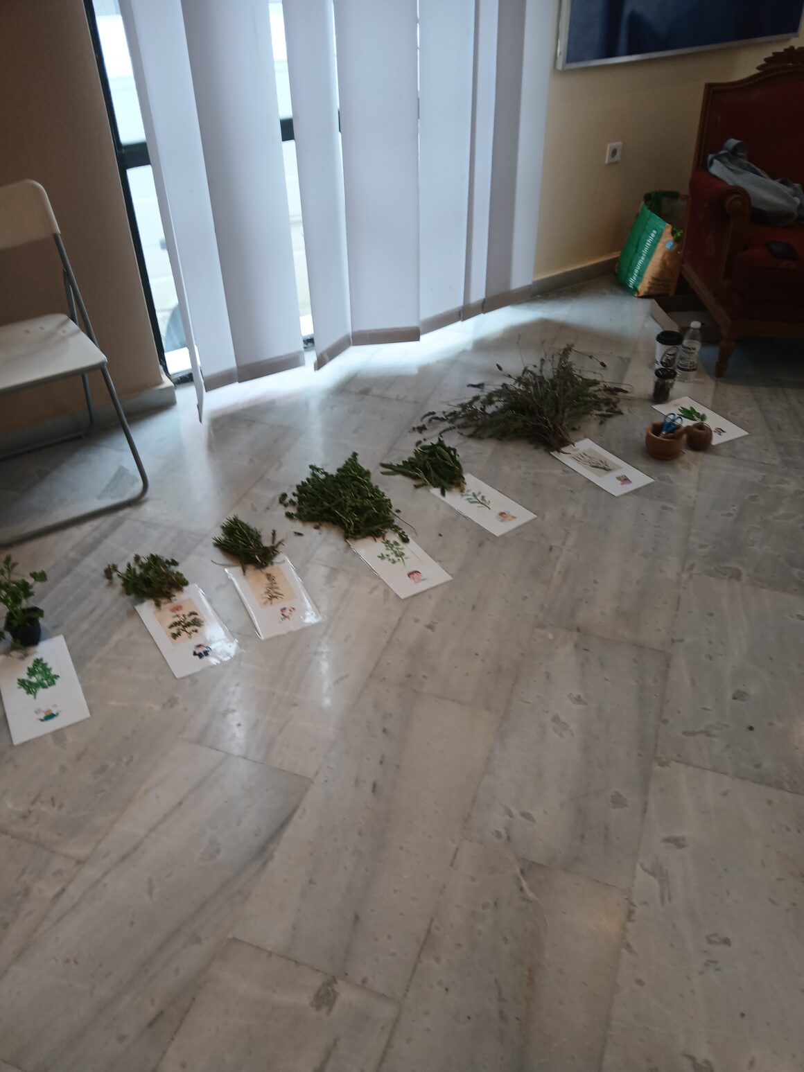 🌿 Φίλοι μας τα Βότανα 🌿Βότανα, Μυρωδιές και Γεύσεις